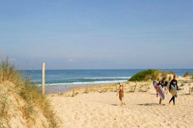 Location de vacances - Villa à Vielle-Saint-Girons