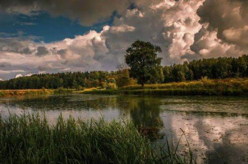 Location de vacances - Villa à Vielle-Saint-Girons