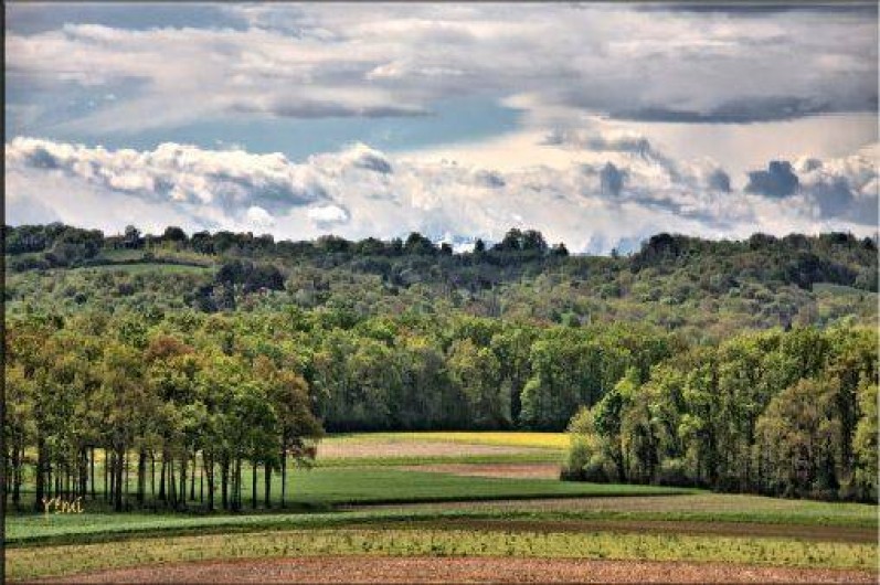 Location de vacances - Villa à Vielle-Saint-Girons