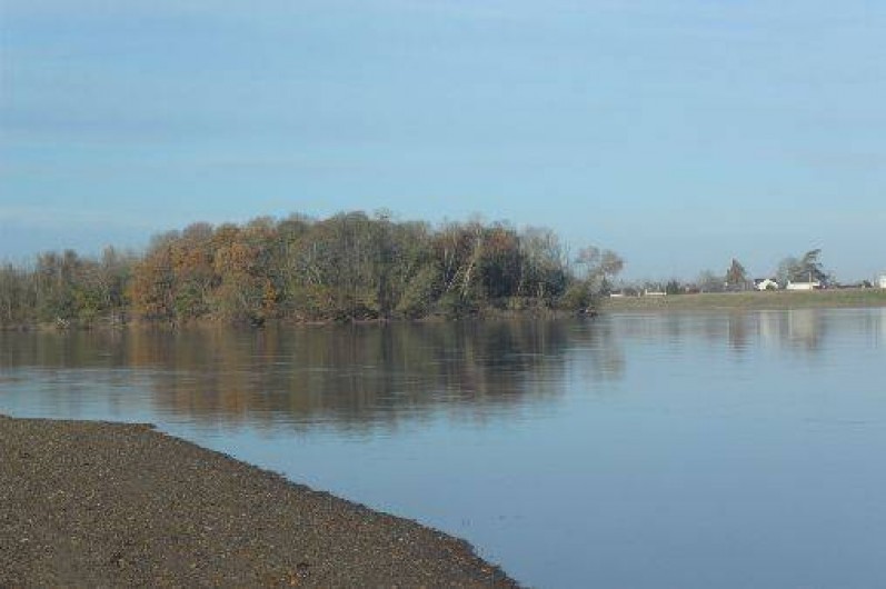 Location de vacances - Gîte à Chênehutte-Trèves-Cunault