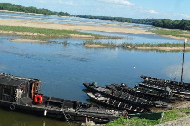 Location de vacances - Gîte à Chênehutte-Trèves-Cunault
