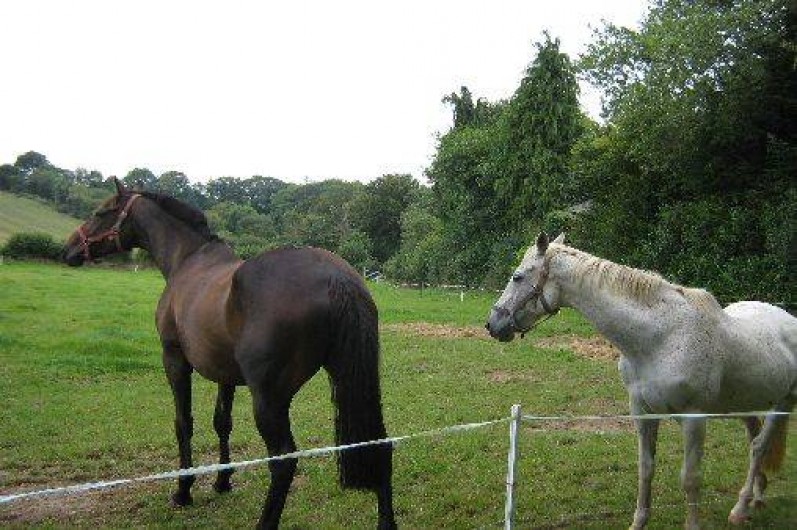 Location de vacances - Maison - Villa à Plonévez-du-Faou