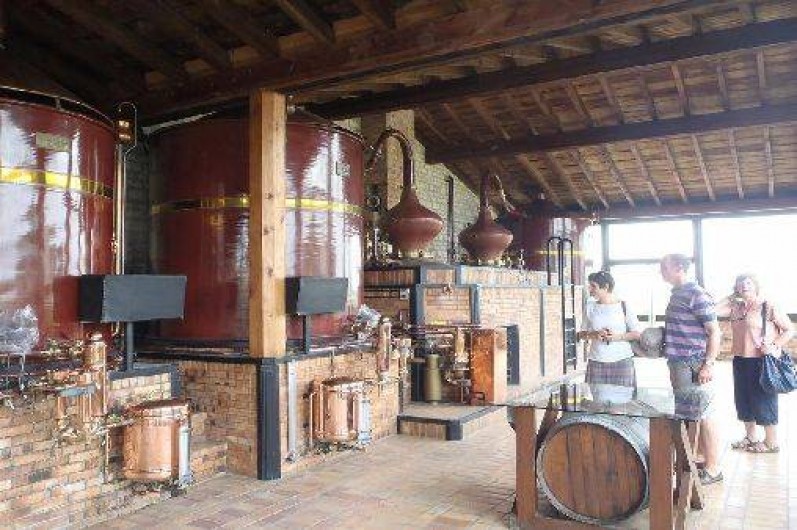 Location de vacances - Maison - Villa à Mortagne-sur-Gironde