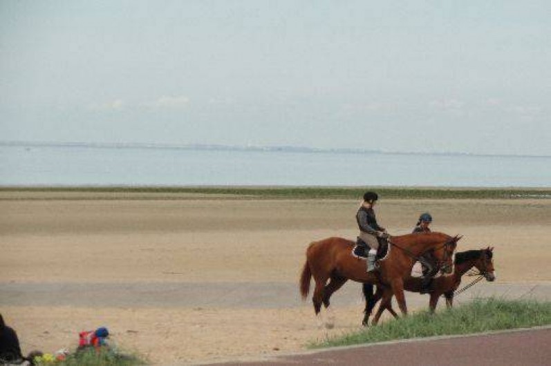 Location de vacances - Appartement à Bernières-sur-Mer