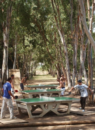 Location de vacances - Camping à Hyères