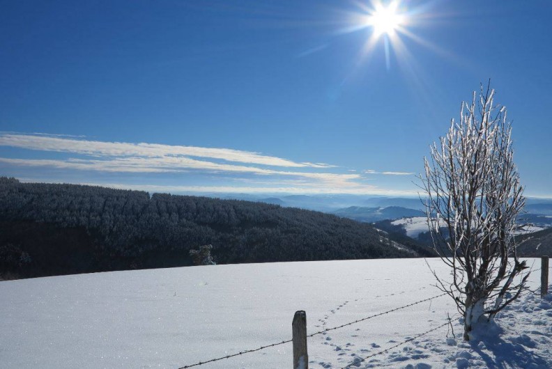Location de vacances - Gîte à Saint-Pierre-de-Nogaret - Vue par une après-midi d'hiver...