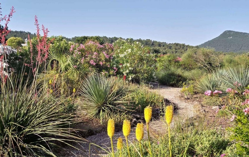 Location de vacances - Villa à Rocbaron