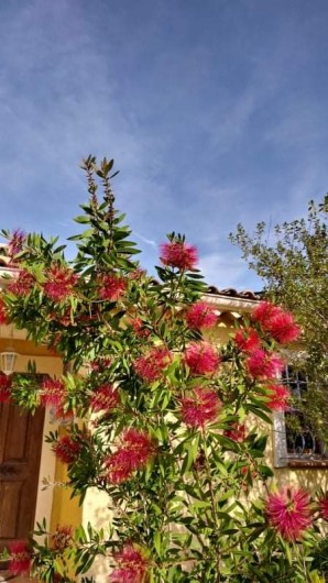 Location de vacances - Villa à Rocbaron