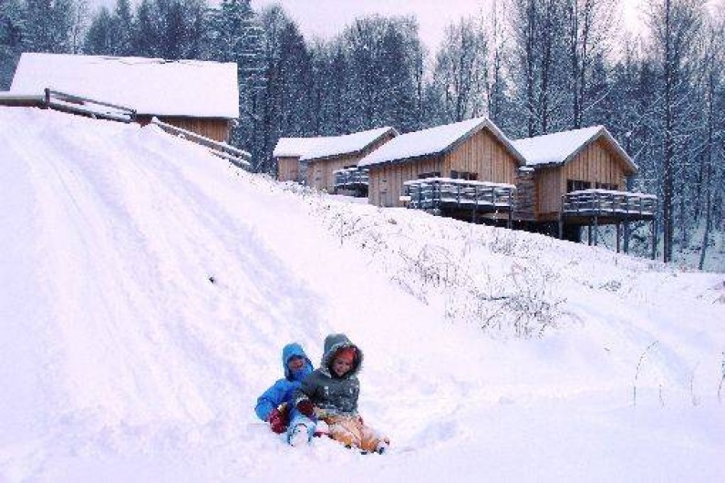 Location de vacances - Chalet à Saint-Bernard