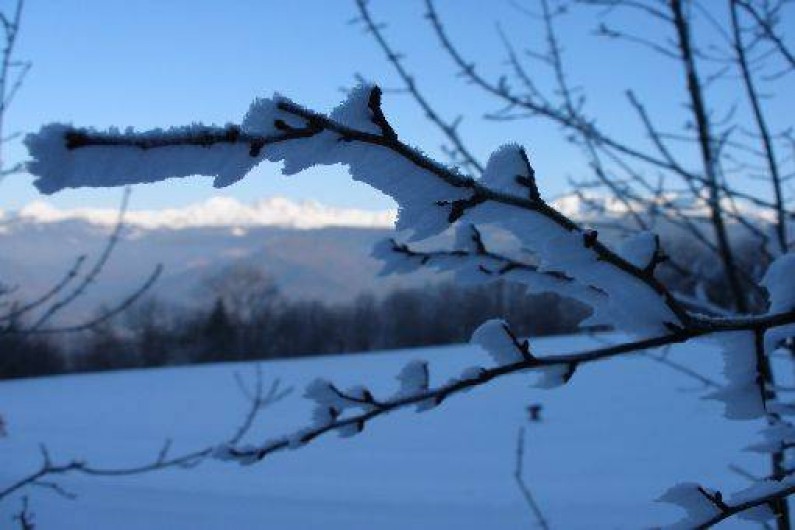 Location de vacances - Chalet à Saint-Bernard