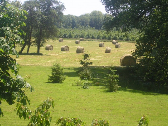 Location de vacances - Maison - Villa à Vitry-aux-Loges - Vue campagne