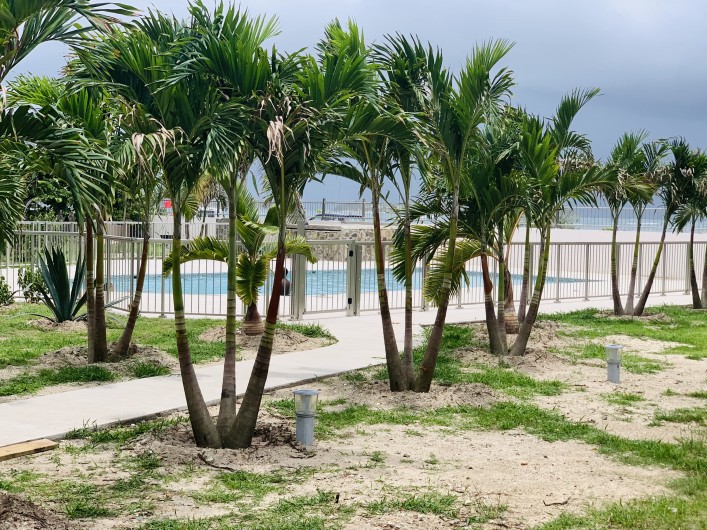 Location de vacances - Appartement à Saint-Martin