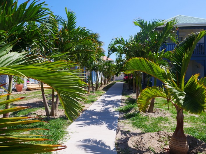 Location de vacances - Appartement à Saint-Martin