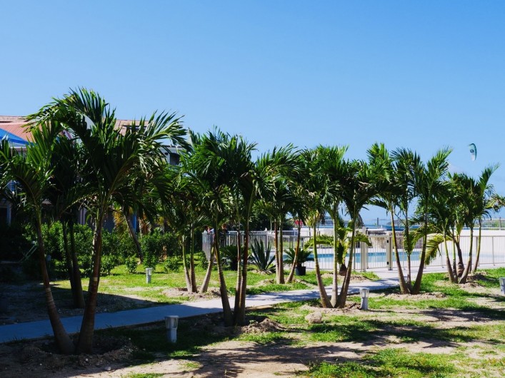 Location de vacances - Appartement à Saint-Martin