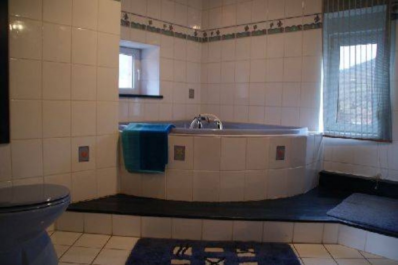 Location de vacances - Gîte à Steige