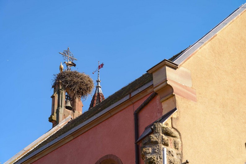 Location de vacances - Gîte à Eguisheim