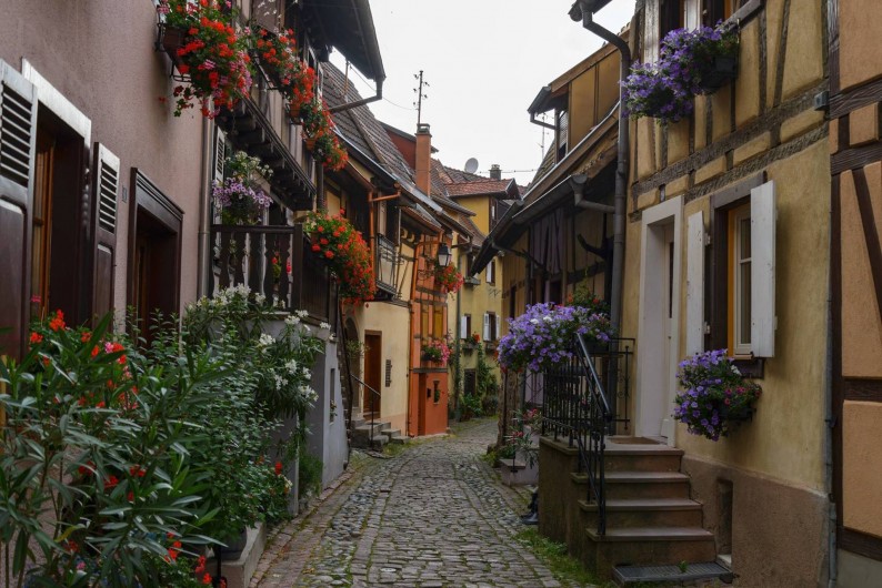 Location de vacances - Gîte à Eguisheim