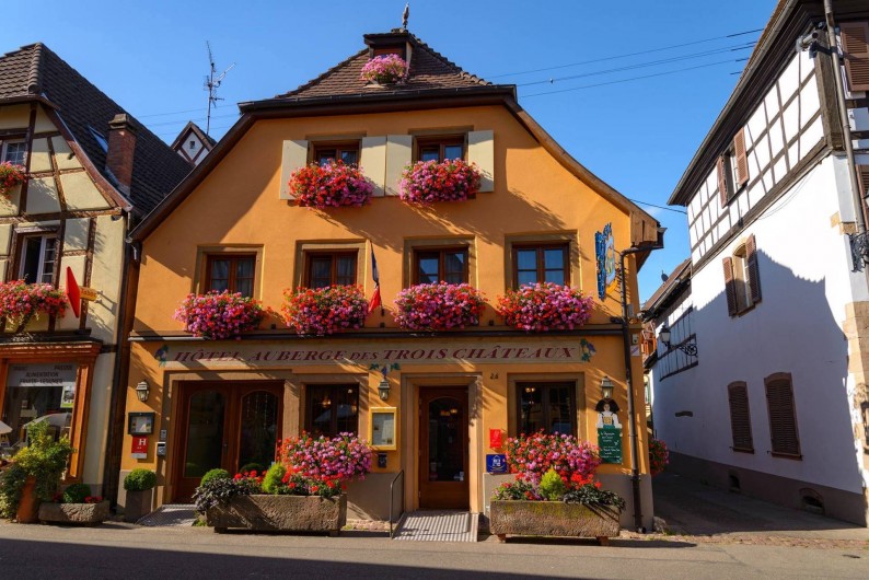 Location de vacances - Gîte à Eguisheim