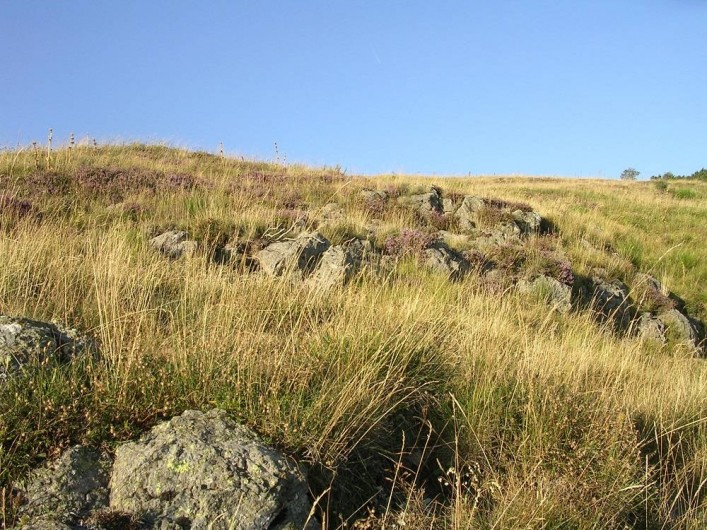 Location de vacances - Gîte à Trélans