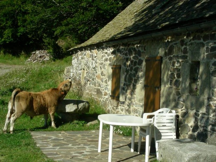 Location de vacances - Gîte à Trélans - Le Galaber
