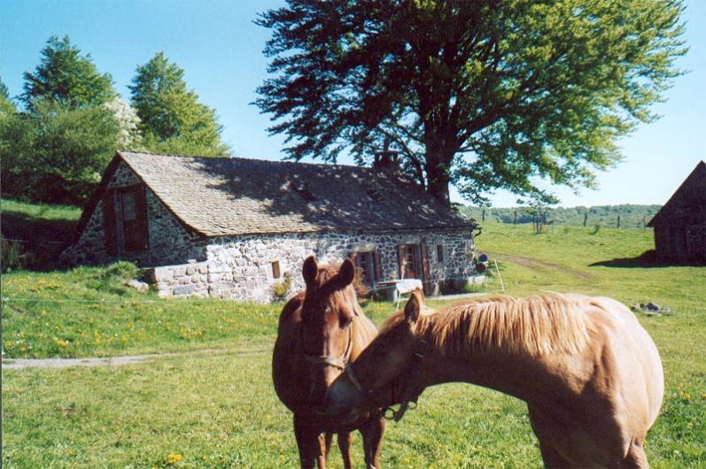 Location de vacances - Gîte à Trélans - Le Galaber