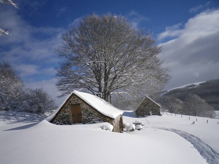 Location de vacances - Gîte à Trélans - Le Galaber