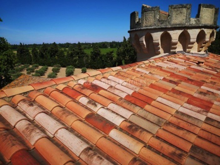 Location de vacances - Gîte à Sarrians - Vue