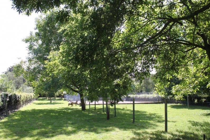 Location de vacances - Maison - Villa à Sailly Bray - pature