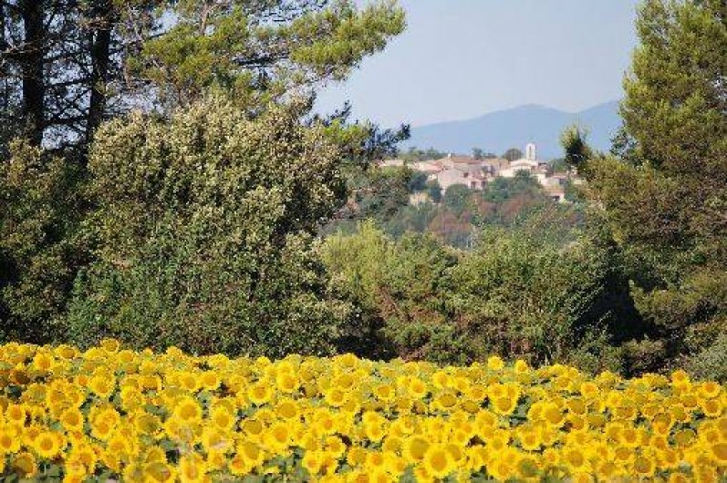 Location de vacances - Gîte à Mons