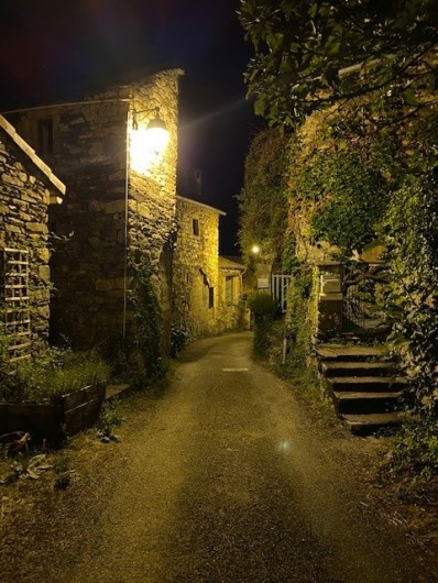 Location de vacances - Gîte à Saint-Mélany