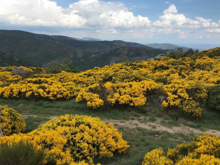 Location de vacances - Gîte à Saint-Mélany