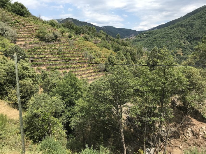 Location de vacances - Gîte à Saint-Mélany