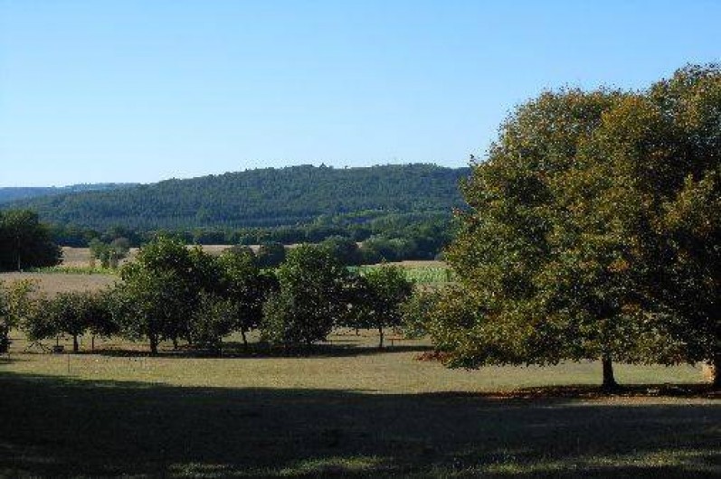 Location de vacances - Gîte à Montignac