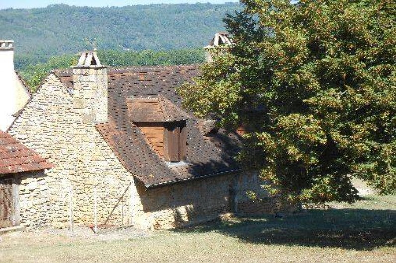 Location de vacances - Gîte à Montignac