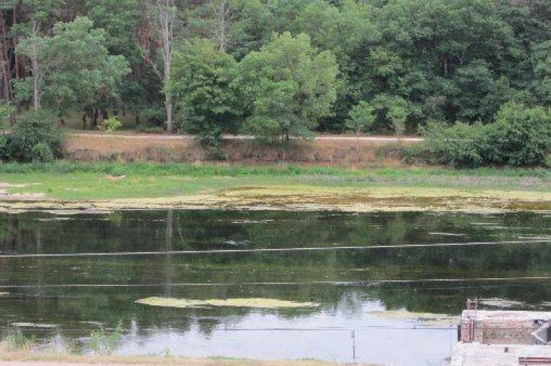 Location de vacances - Gîte à Montrichard - Vue sur le Cher