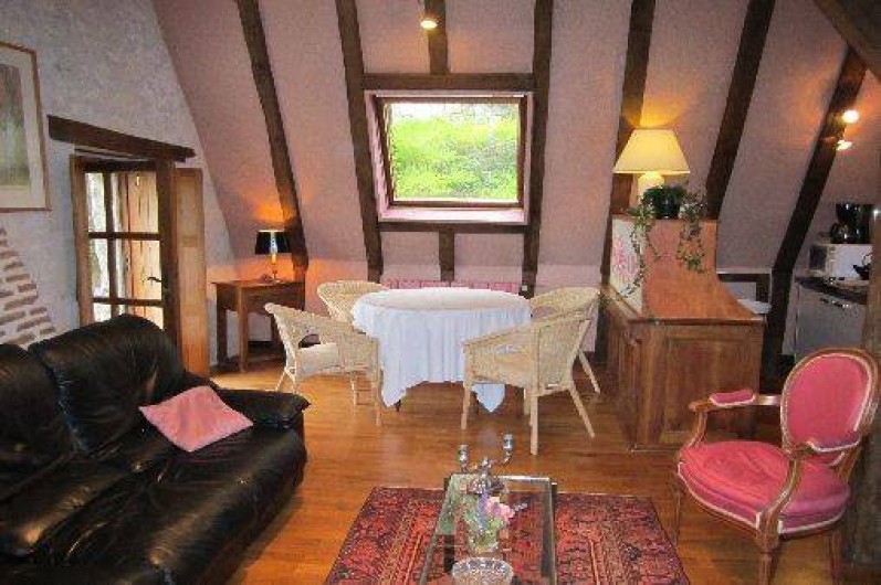 Location de vacances - Gîte à Montrichard - Grande salle ( salon , coin repas )