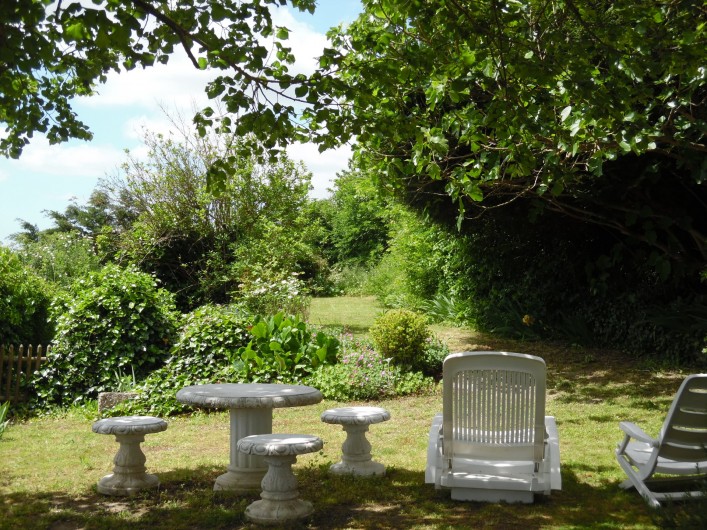 Location de vacances - Gîte à Montrichard - Jardin gazonné