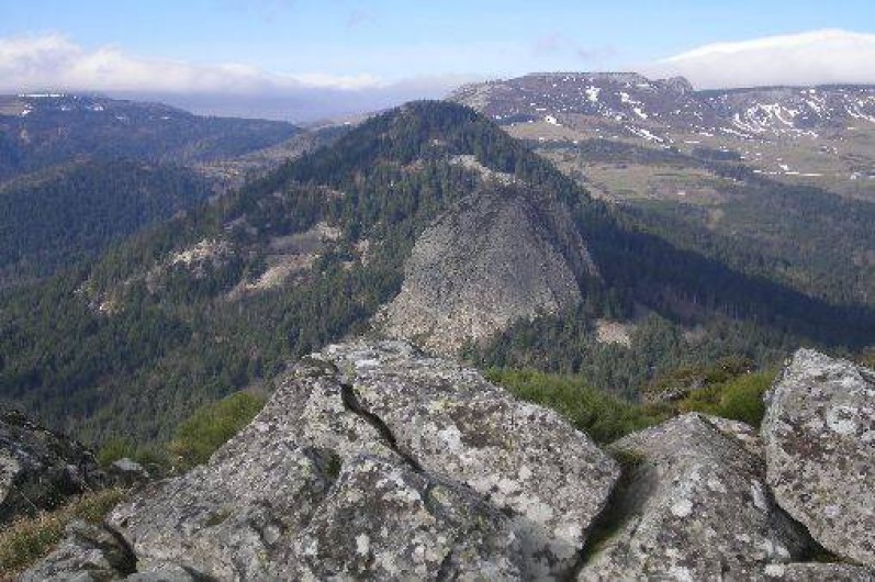 Location de vacances - Chalet à Borée