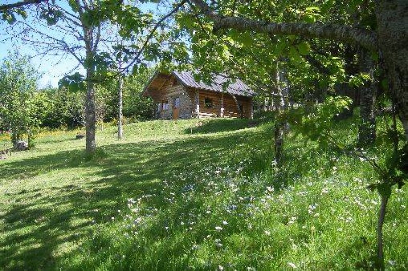 Location de vacances - Chalet à Borée
