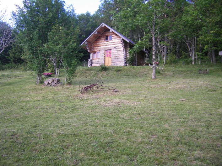 Location de vacances - Chalet à Borée
