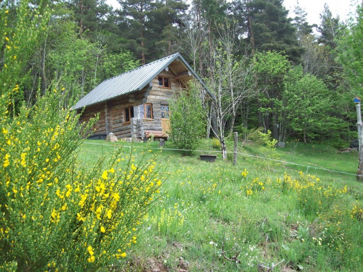 Location de vacances - Chalet à Borée