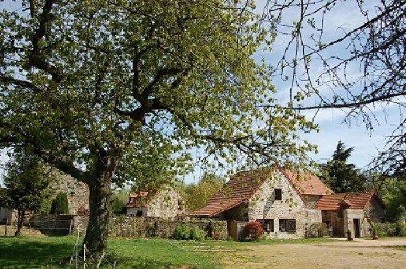 Location de vacances - Gîte à Saint-Sernin-du-Bois