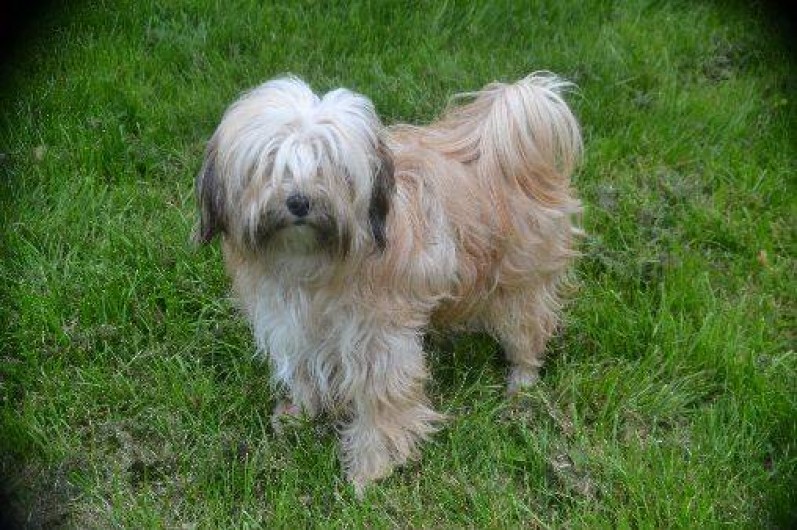 Location de vacances - Gîte à Saint-Sernin-du-Bois