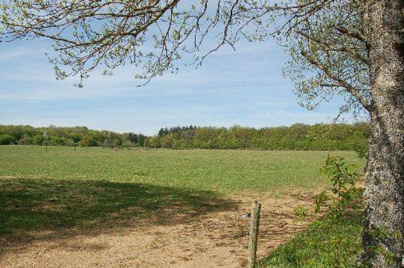 Location de vacances - Gîte à Saint-Sernin-du-Bois