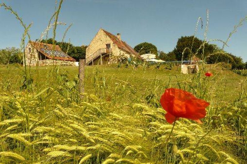 Location de vacances - Gîte à Rouffilhac