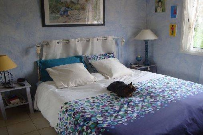 Location de vacances - Villa à Tourves