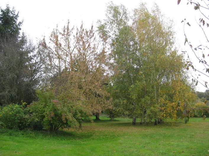 Location de vacances - Gîte à Châtillon-sur-Indre