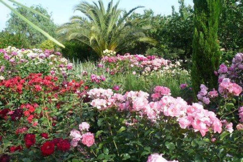 Location de vacances - Gîte à Fontvieille