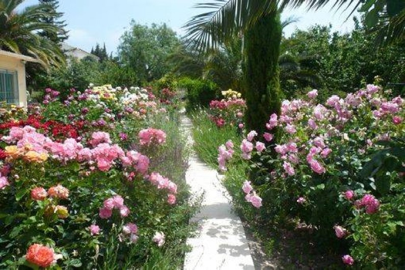 Location de vacances - Gîte à Fontvieille