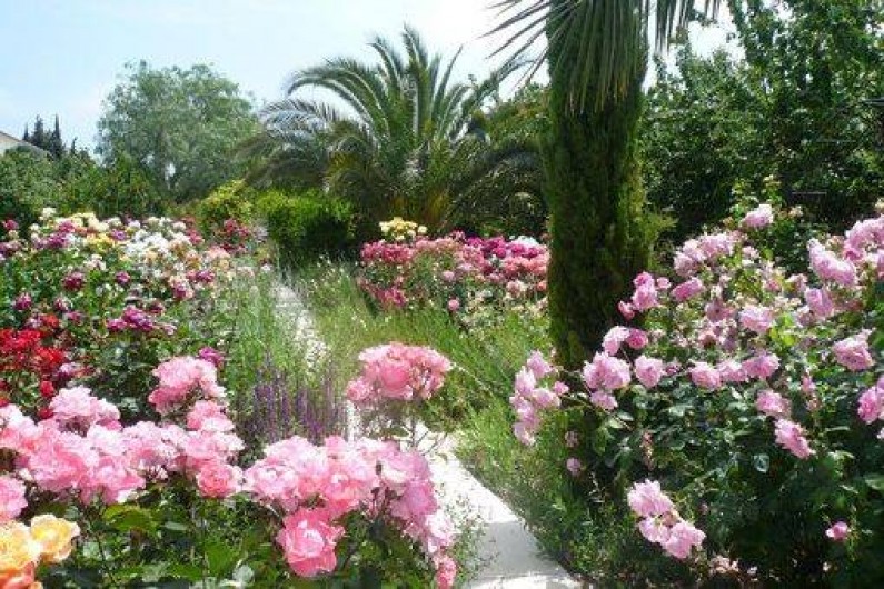 Location de vacances - Gîte à Fontvieille